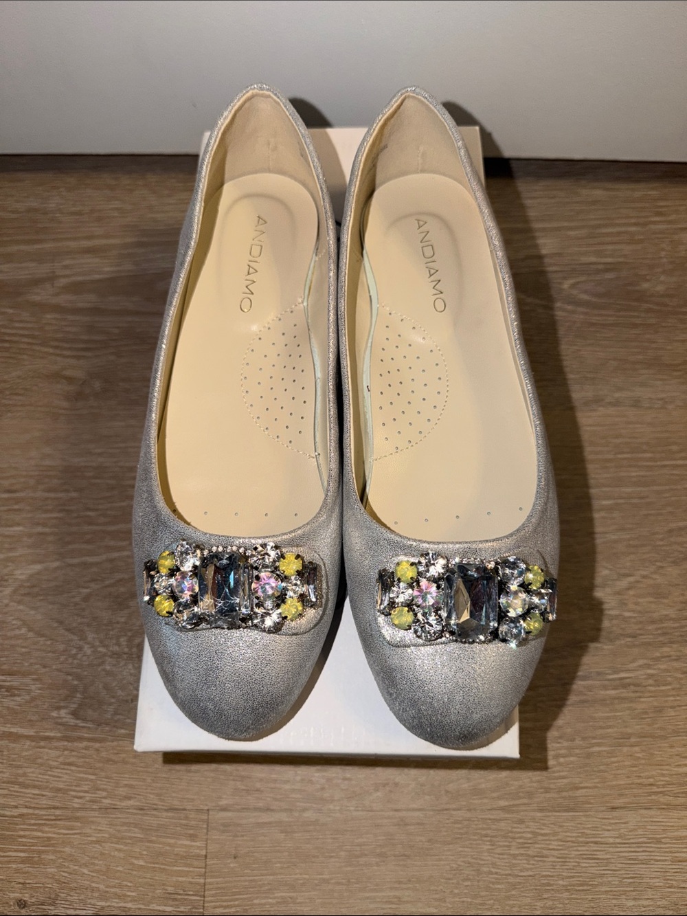 Andiamo Silver Jeweled Women's Ballet Flats